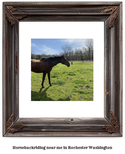 horseback riding near me in Rochester, Washington